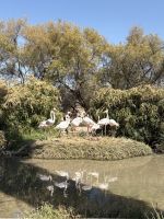 Mount Etjo Safari Lodge &ndash; &copy; Anne Fohlert (Eberhardt TRAVEL)