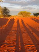 Schattenspiele &ndash; &copy; Annette Weise (Eberhardt TRAVEL)