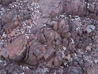 Gesteinsrosen &ndash; &copy; Annette Weise (Eberhardt TRAVEL)
