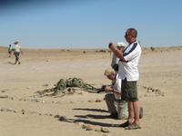 Welwitschia Mirabilis am Welwitschia-Drive &ndash; &copy; Annette Weise (Eberhardt TRAVEL)