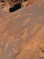 prähistorische Felsenkunst in Twyfelfontein &ndash; &copy; Annette Weise (Eberhardt TRAVEL)