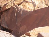 prähistorische Felsenkunst in Twyfelfontein &ndash; &copy; Annette Weise (Eberhardt TRAVEL)