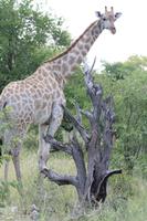 Was guckst du? &ndash; &copy; Nicole Hickmann (Eberhardt TRAVEL)