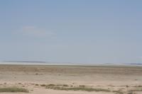 Etoshapfanne &ndash; &copy; Nicole Hickmann (Eberhardt TRAVEL)