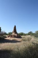 Termitenhügel &ndash; &copy; Nicole Hickmann (Eberhardt TRAVEL)