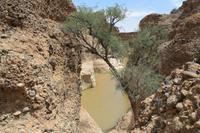 Blick in den Sesriem Canyon