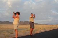 Wo sind sie denn die Wildpferde? &ndash; &copy; Nicole Hickmann (Eberhardt TRAVEL)