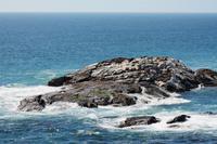 0218_IMG_9062
