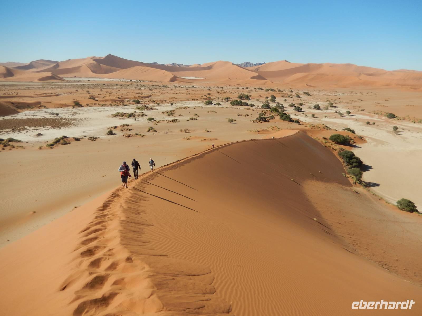 0470 Dünenwanderung auf Big Mama im Sossusvlei &ndash; &copy; Patrick Fritzsche (Eberhardt TRAVEL)