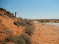 0096 in der Kalahari &ndash; &copy; Patrick Fritzsche (Eberhardt TRAVEL)