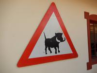 0182 Achtung Warzenschweine &ndash; &copy; Patrick Fritzsche (Eberhardt TRAVEL)
