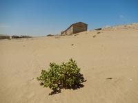0304 Diamanten-Geisterstadt Kolmanskop &ndash; &copy; Patrick Fritzsche (Eberhardt TRAVEL)