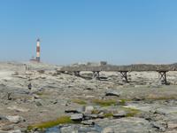 0343 am Diaz Point auf der Lüderitz-Halbinsel &ndash; &copy; Patrick Fritzsche (Eberhardt TRAVEL)