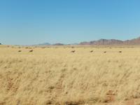 0399 Namib Desert Lodge &ndash; &copy; Patrick Fritzsche (Eberhardt TRAVEL)