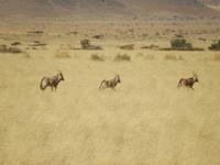 0400 Namib Desert Lodge &ndash; &copy; Patrick Fritzsche (Eberhardt TRAVEL)