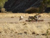 0408 Namib Desert Lodge &ndash; &copy; Patrick Fritzsche (Eberhardt TRAVEL)