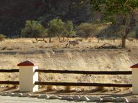 0411 Namib Desert Lodge &ndash; &copy; Patrick Fritzsche (Eberhardt TRAVEL)