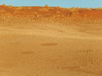 0422 frühmorgens im Sossusvlei - Feenkreise &ndash; &copy; Patrick Fritzsche (Eberhardt TRAVEL)