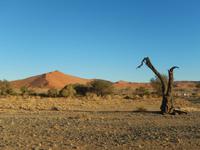 0430 frühmorgens im Sossusvlei &ndash; &copy; Patrick Fritzsche (Eberhardt TRAVEL)