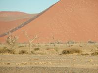 0436 Licht und Schatten im Sossusvlei &ndash; &copy; Patrick Fritzsche (Eberhardt TRAVEL)