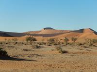 0444 im Sossusvlei &ndash; &copy; Patrick Fritzsche (Eberhardt TRAVEL)