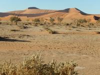 0445 im Sossusvlei &ndash; &copy; Patrick Fritzsche (Eberhardt TRAVEL)