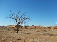 0448 im Sossusvlei &ndash; &copy; Patrick Fritzsche (Eberhardt TRAVEL)