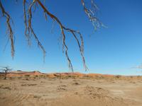 0451 im Sossusvlei &ndash; &copy; Patrick Fritzsche (Eberhardt TRAVEL)