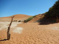 0490 Lehmpfanne im Sossusvlei &ndash; &copy; Patrick Fritzsche (Eberhardt TRAVEL)