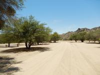 0573 Oase Goanikontes &ndash; &copy; Patrick Fritzsche (Eberhardt TRAVEL)