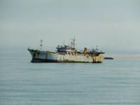 0652 Katamaran-Ausflug Walvis Bay &ndash; &copy; Patrick Fritzsche (Eberhardt TRAVEL)