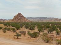 0749 im Damara-Land &ndash; &copy; Patrick Fritzsche (Eberhardt TRAVEL)