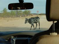 0818 im Himba-Land &ndash; &copy; Patrick Fritzsche (Eberhardt TRAVEL)