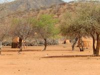 0829 Himbadorf &ndash; &copy; Patrick Fritzsche (Eberhardt TRAVEL)