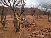 0873 Himba-Friedhof &ndash; &copy; Patrick Fritzsche (Eberhardt TRAVEL)