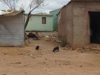 0878 in Opuwo &ndash; &copy; Patrick Fritzsche (Eberhardt TRAVEL)