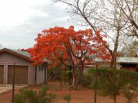0883 in Opuwo &ndash; &copy; Patrick Fritzsche (Eberhardt TRAVEL)