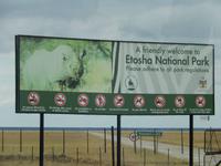 0888 im Etosha-Nationalpark &ndash; &copy; Patrick Fritzsche (Eberhardt TRAVEL)