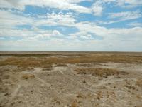 0954 Etosha-Nationalpark &ndash; &copy; Patrick Fritzsche (Eberhardt TRAVEL)