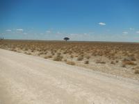 1085 Etosha-Nationalpark - unendliche Weite &ndash; &copy; Patrick Fritzsche (Eberhardt TRAVEL)