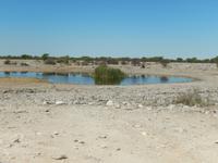 1143 Etosha-Nationalpark - verlassenes Wasserloch &ndash; &copy; Patrick Fritzsche (Eberhardt TRAVEL)