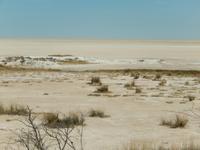 1144 Etosha-Pfanne &ndash; &copy; Patrick Fritzsche (Eberhardt TRAVEL)