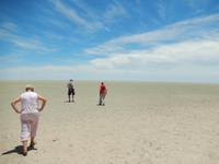 1161 Etosha-Pfanne &ndash; &copy; Patrick Fritzsche (Eberhardt TRAVEL)
