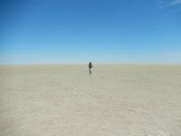 1167 Etosha-Pfanne &ndash; &copy; Patrick Fritzsche (Eberhardt TRAVEL)