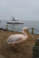 Am Wlavis Bay &ndash; &copy; Isabell Glaß (Eberhardt TRAVEL)