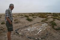 an der Skeletküste &ndash; &copy; Isabell Glaß (Eberhardt TRAVEL)