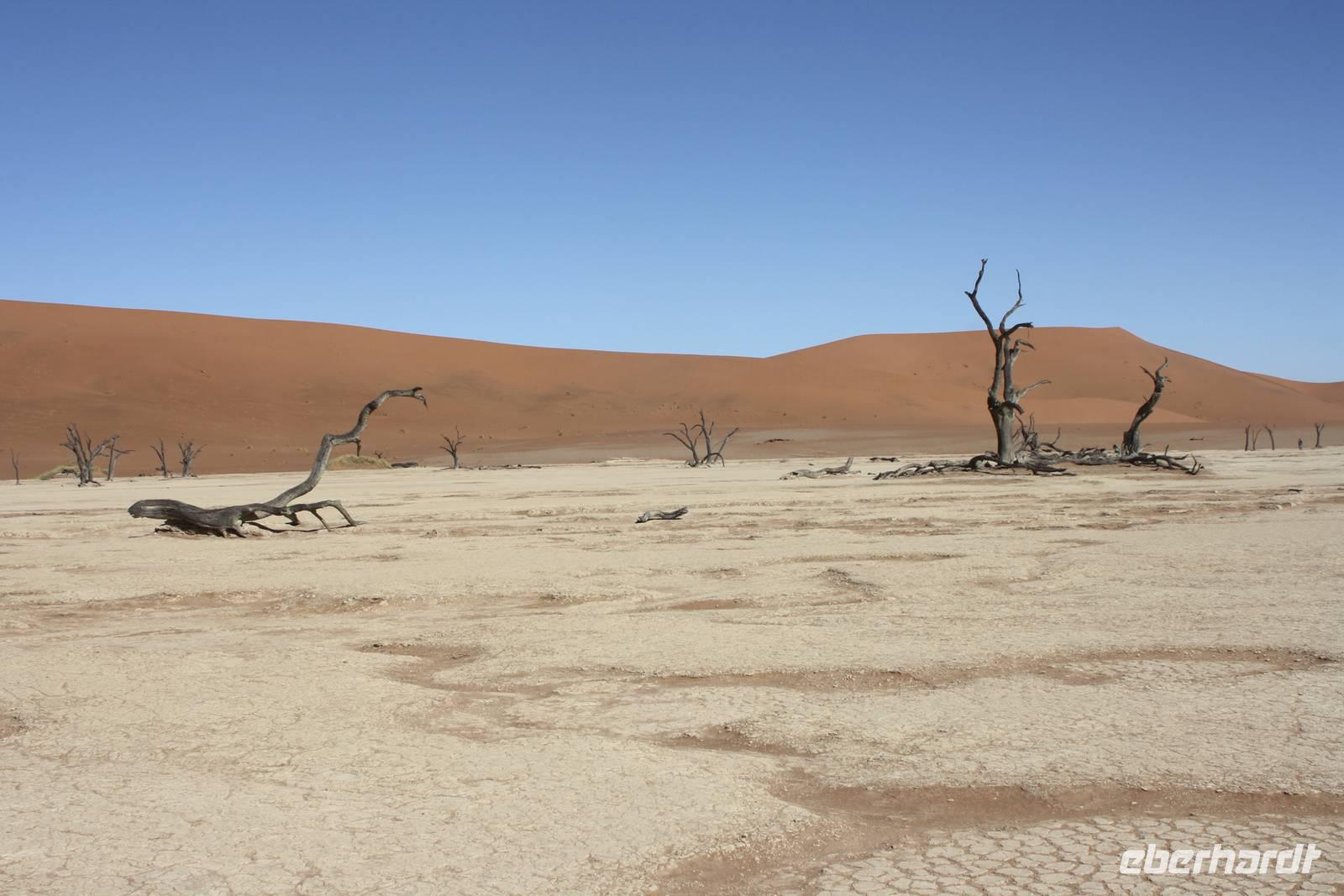 im Deathvlei &ndash; &copy; Sylvia Sann (Eberhardt TRAVEL)