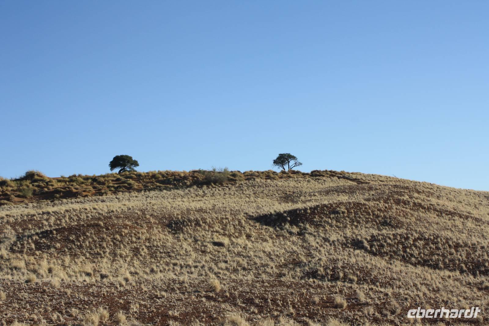 Landschaft in Namibia &ndash; &copy; Sylvia Sann (Eberhardt TRAVEL)
