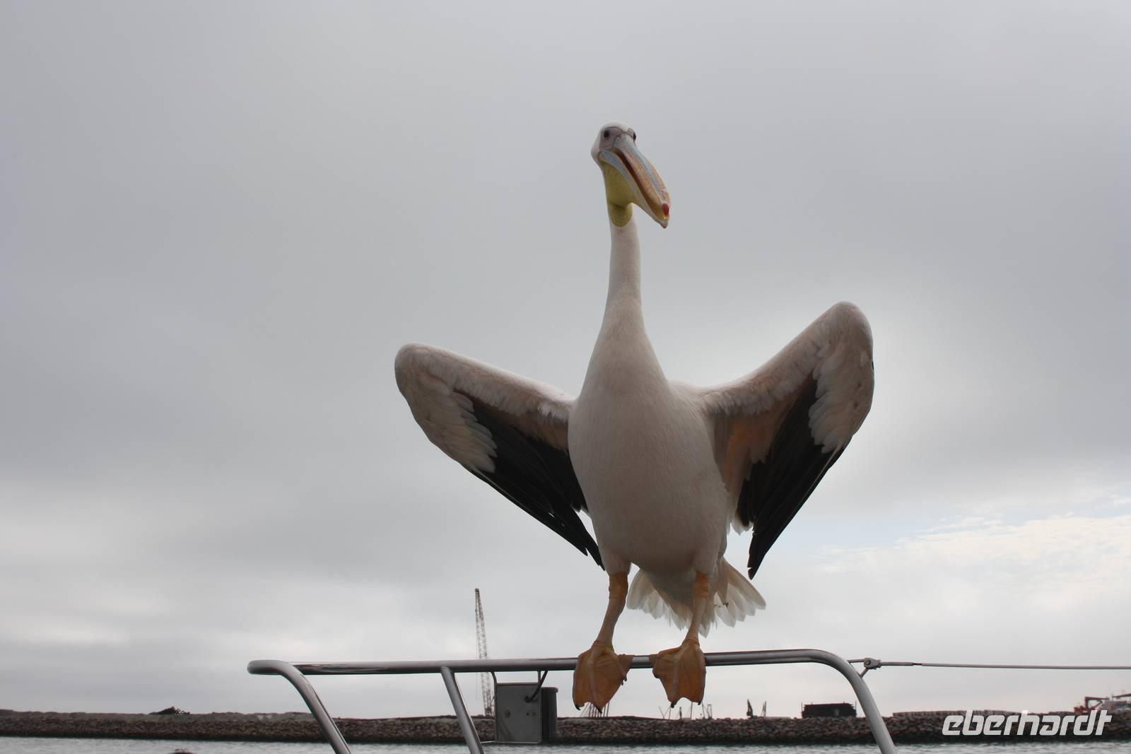 Schiffahrt in der Walvis Bay &ndash; &copy; Sylvia Sann (Eberhardt TRAVEL)