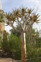 Keetmanshoop &ndash; &copy; Sylvia Sann (Eberhardt TRAVEL)